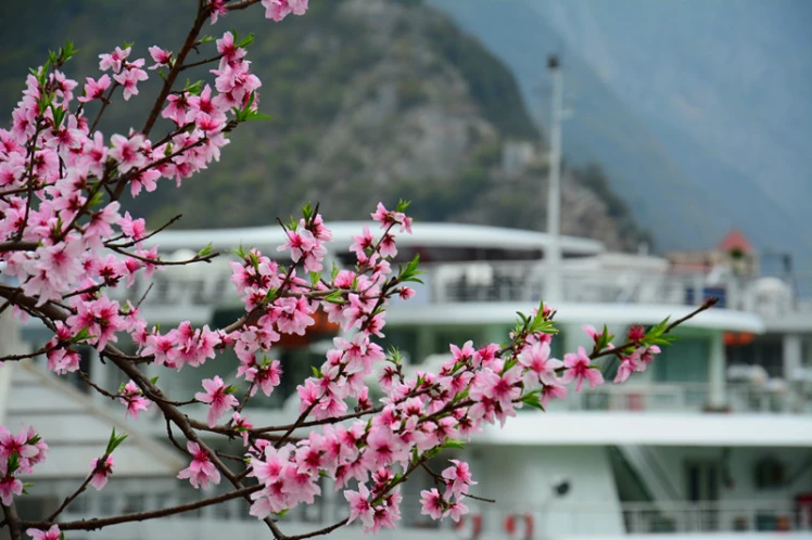 Best Time to Cruise on the Yangtze River